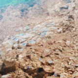 防汛一线丨精准预警 提前转移 茶陵县成功避险两起灾害