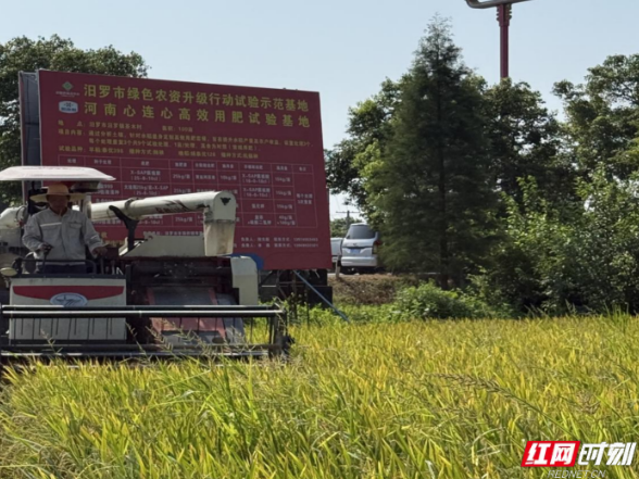 汨罗绿色农资测产显实效：提质增效助力农业增收