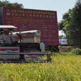 汨罗绿色农资测产显实效：提质增效助力农业增收
