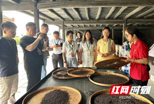 海外华文媒体湖南行：在文化根脉与时代发展中读懂“幸福湖南”