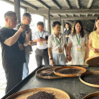 海外华文媒体湖南行：在文化根脉与时代发展中读懂“幸福湖南”