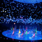 《风情东南亚》绽放东博会：中国与东盟文化的绚丽共舞