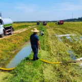 养殖治污记｜从“污”到“肥”的绿色转身——走进屈原管理区看畜禽养殖“生态循环”新图景