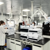 2025“厅”头条|湖南药品监管年度十大新闻盘点