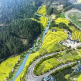 2026全省生态环境保护工作会议:精准谋划推进重点任务 加快建设美丽湖南