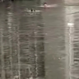 冰水里的“托举”