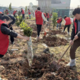 湖南省高速公路集团株洲分公司开展植树节主题活动