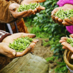 船停了，路宽了，湘西保靖群众的好日子“过桥”了