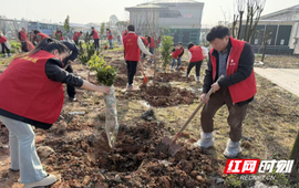 湖南省高速公路集团株洲分公司开展植树节主题活动