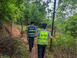羊群上高速？湖南广福路产养护管理所提醒：高速沿线严禁放养牲畜