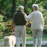 湖南“十四五”民政答卷⑥丨养老服务：建成1756所养老机构，床位19.28万张