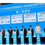 进博湘见·特写丨少小离家老大回 熊大鹏的“湘”约与“芯”愿