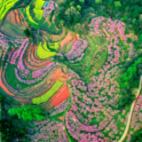 湖南在2025年度长江流域生产建设项目水土保持监督管理通报会上作典型发言