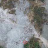 一个像素点,救了一条命