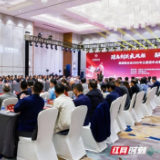加速布局全球，邵商联合会2025年主席团年会在海口举行