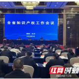湖南省知识产权工作会议召开 截至2024年底全省有效发明专利拥有量12.13万件