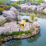 湖南春季赏花指南：漫步三湘四水，邂逅繁花盛景 