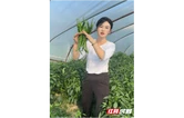 乡村追梦人 | 罗情：从写字楼到养鸡场，她的“田园牧歌”里有本“循环经济账”