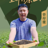 从“迷彩绿”到多彩人生 | 曾梓健：茶山上的“军绿色”