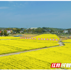 “何”以自然丨如何用好“＋”法 全域土地综合整治的湖南模式