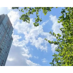 春节天气 | 今明两天湖南大部晴天为主 气温回升注意野外火源管理