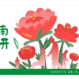 听故事，懂政策 《友好湖南·芙蓉花开》8月7日多平台上线