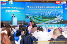 聚焦数智化转型与AI融合应用 望城经开区专题展示“数智”成果