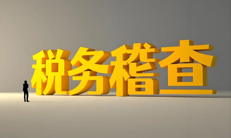 张家界市税务局稽查局依法查处张家界市东方医疗器械有限公司偷税案件}