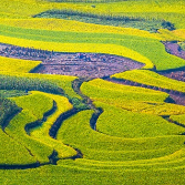 鼓励“大胆改革” 岳阳入选国家生态价值产品实现机制试点