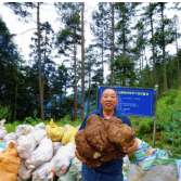 邵阳隆回:“林改”绘就“绿富同兴”新画卷