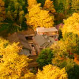 古木逢春处，三湘守护时——解码古树名木保护“湖南经验”