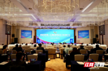 第四届中非经贸博览会6月在长沙举办 四大特点抢先看