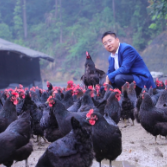 全国劳模｜龚光辉：海归硕士的养鸡革命