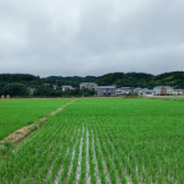 “缝”出良田 “锈”出新景——洪江土地活用记