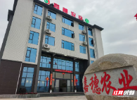 湘村企示录②丨台九结嘉穗  嘉穗助台九