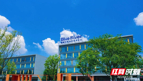 创新领航 服务揭榜⑤丨为蓝河融资上亿元 望城经开区引导金融“活水”润泽实体良田