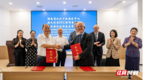 多方联动涉外知识产权保护交流 为湖南企业出海保驾护航