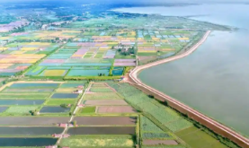 湖南省洞庭湖区重点垸堤防加固二期工程可研报告获国家发展改革委批复