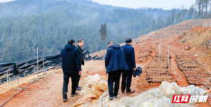 “湖南名特优乡土树种繁育栽培技术推广与标准化示范”在邵阳隆回启动