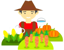 湖南农产品一周行情丨蔬菜批发价环比总体下跌 冬瓜、红椒、西红柿跌幅超10%