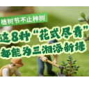 海报丨植树节不止种树！这8种“花式尽责”都能为三湘添新绿