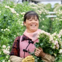 聚焦省委一号文件丨促进农民增收 湖南打出政策“组合拳”