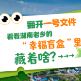 海报 | 翻开一号文件，看看湖南老乡的“幸福盲盒”里藏着啥？