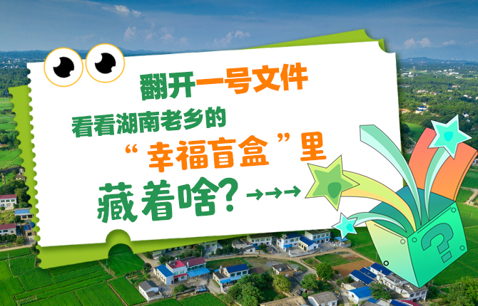 海报 | 翻开一号文件，看看湖南老乡的“幸福盲盒”里藏着啥？