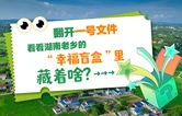 海报 | 翻开一号文件，看看湖南老乡的“幸福盲盒”里藏着啥？