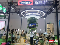 面向全球要“大气”,43家湘企携手参加第六届消博会
