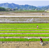 “何”以自然丨落实“开局八好” 湖南省自然资源厅明确48条举措