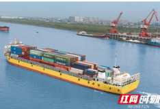 借势利好政策  邵商联合会多方布局助力企业“走出去”