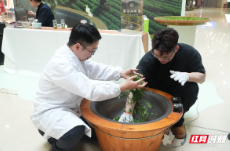 且饮此绿①丨合作茗茶：黄金茶、明前龙井上新，守住春茶本味