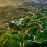 且饮此绿④丨潇湘茶业：核心产区+有机认证，春茶季双品齐发